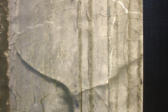 Karyn Olivier, Museum Midden (detail 2)