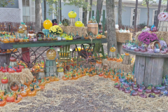 2013 Pumpkin Patch during the Festival of Fine Craft