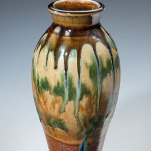 Multi Colored Vase by Terry Plasket