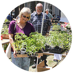 Circle crop of smiling woman carrying plants purchased at ECO Fair.