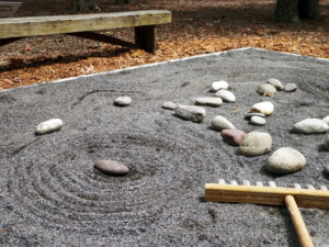 Rocks Scattered across sand