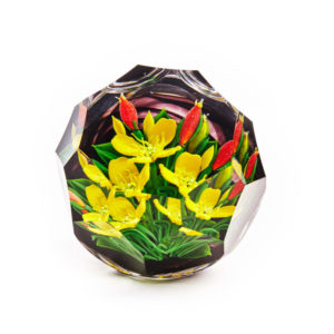 Young Love Paperweight by Caithness Glass, depicting lemon yellow flowers with red buds behind them and green stems and leaves within the faceted glass