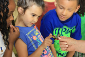 Three children observe a small yellow caterpillar