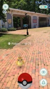 Pokemon Go at WheatonArts