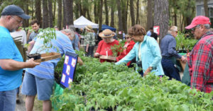 Men and women selecting tomato plants at the Plant sale during the 2018 ECO Fair at WheatonArts.