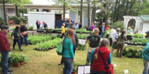 Eco Fair 2016 Plant Sale