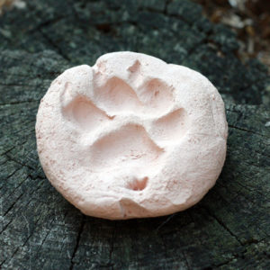 Custom clay paw print, available to make at PAWS for Art at WheatonArts