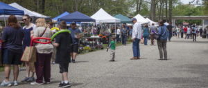 Crowd of children and adults exploring the booths at the ECO Fair.