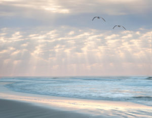 Photograph taken by James Evangelista of two seagulls soaring over the ocean, the sun peeking through billowy clouds overhead