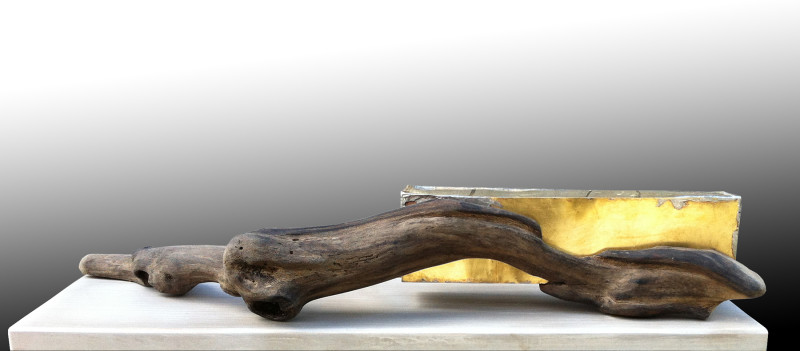 Carved driftwood fused with a golden cube-shaped piece of brass.