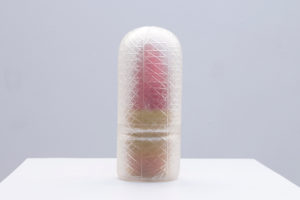 Crosshatched semi-transparent glass oval dome covering a tan and pink glass sculpture. Created by Heather Sutherland.