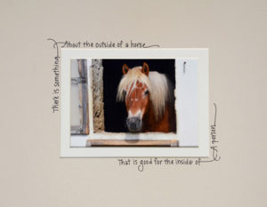 Photograph taken by Barry Hollritt of a red horse with a white mane. The photo is matted with text around the mat, reading: "There is something about the outside of a horse that is good for the inside of a person"