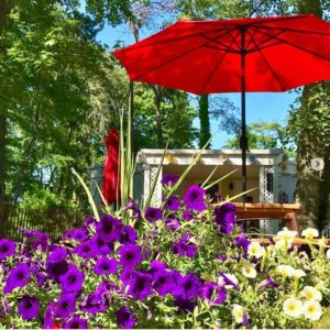 A shot of a table neighboring the GateHouse Cafe with a large red umbrella. Purple and white flowers decorate the foreground.