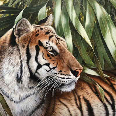 Realistic acrylic painting of a tiger surrounded by long green leaves by Ron Orlando..