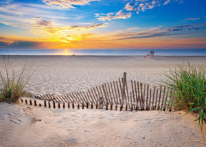 Photograph by Christopher Costa of a beach with a tan sand fence and green plants in the foreground and the blue ocean and lifeguard stand in the distance