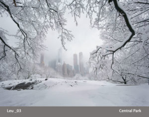 Photograph by Michael Leu of a city in the distance, obscured partially by the thick falling snow and the long snow-covered branches in the upper foreground